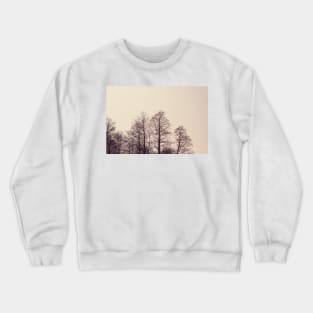 Winter Branches Crewneck Sweatshirt